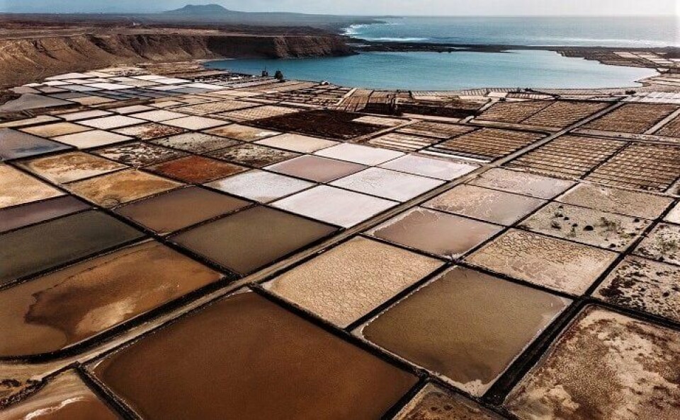 10 spennende fakta du neppe visste om Lanzarote