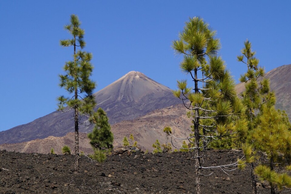 Nasjonalparken Teide på Tenerife besøkes av over 3 millioner mennesker hvert år. Foto: Efraimstochter / Pixabay