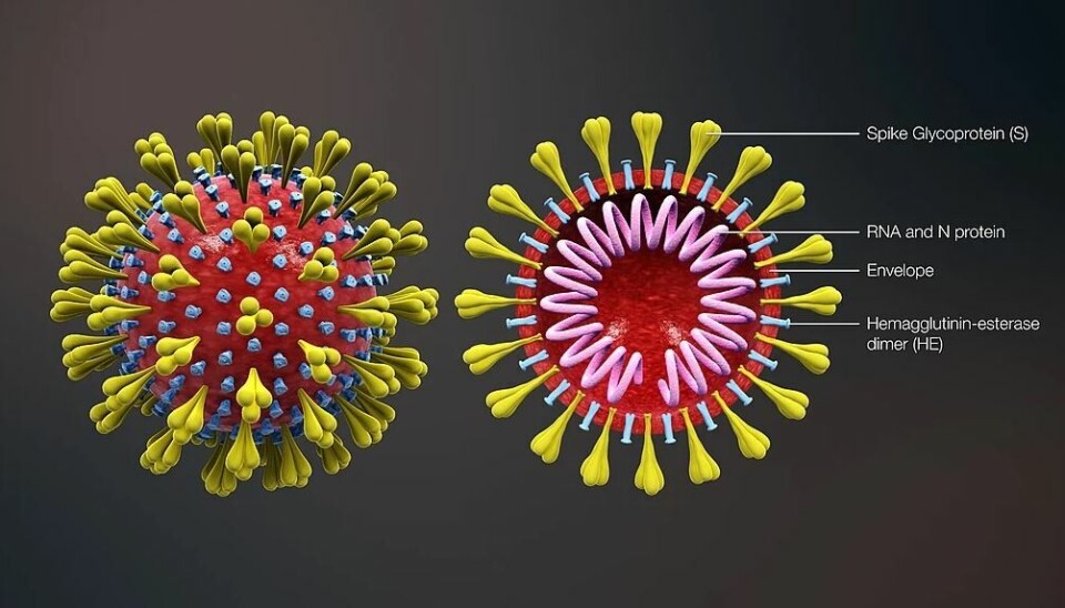 Coronaviruset er bekreftet på Kanariøyene: – Protokollene virker, sier Torres