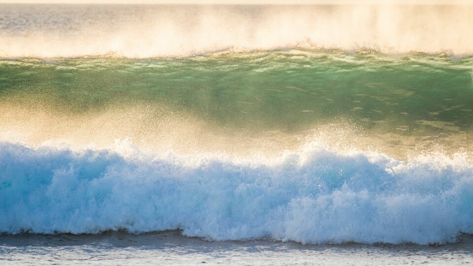 Illustrasjon: Envato Elements