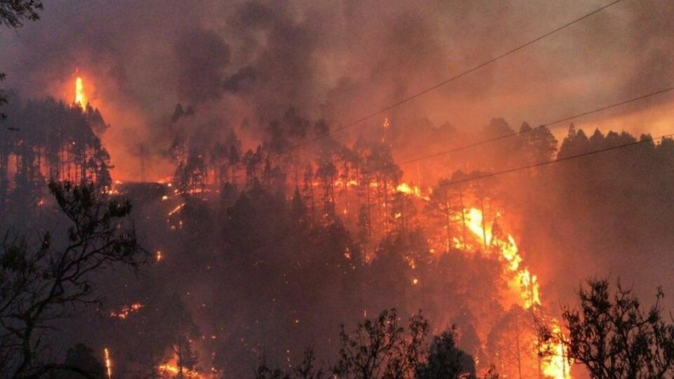 Skogbrannen på La Palma i august 2020 svidde av rundt 800 hektar, og ødela flere hjem. Foto: Bomberos