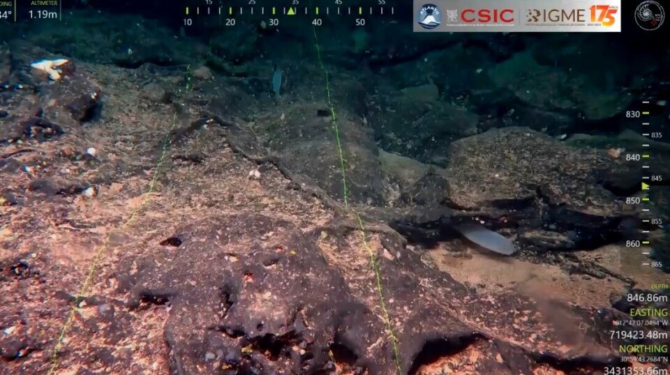 Foto: Geologi- og gruveinstituttet IGME-CSIC.