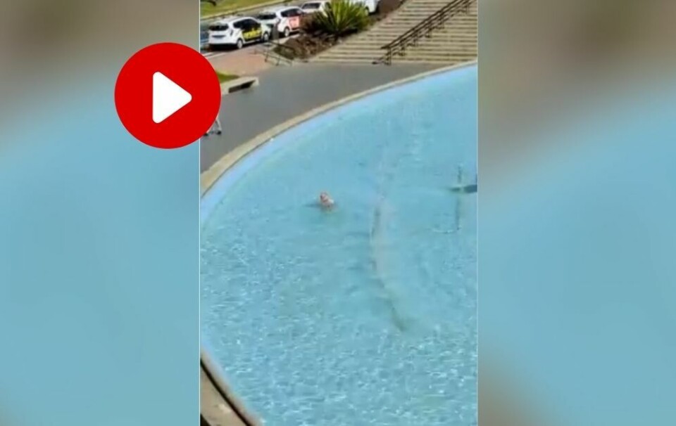 VIDEO: Den siste av en lang rekke merkelige hendelser på Kanariøyene den siste tiden.