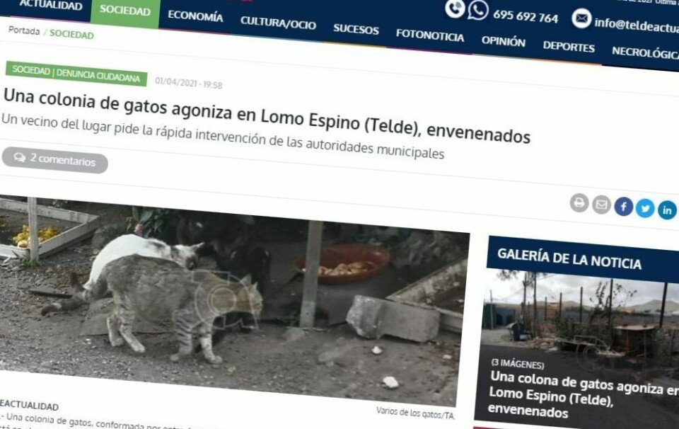 Skjermdump: Teldeactualidad