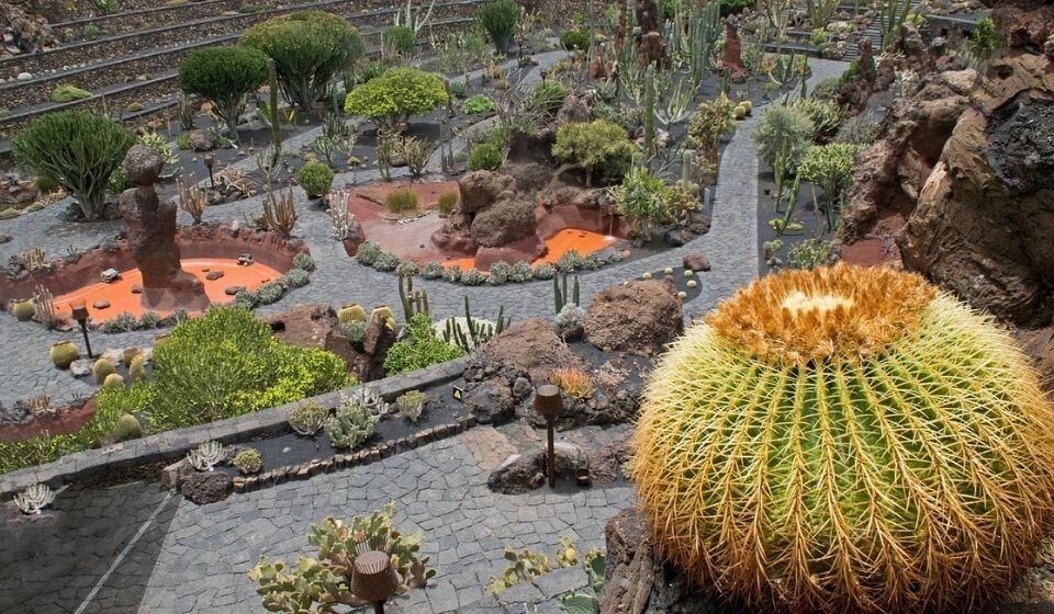 Jardín de Cactus på Lanzarote. Foto: Pixabay
