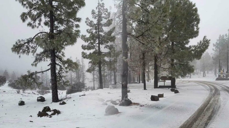 Kan komme snø på Kanariøyene