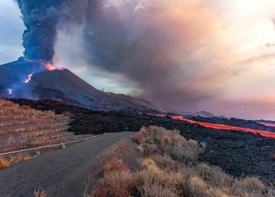 Jordskjelv rystet La Palma lørdag morgen