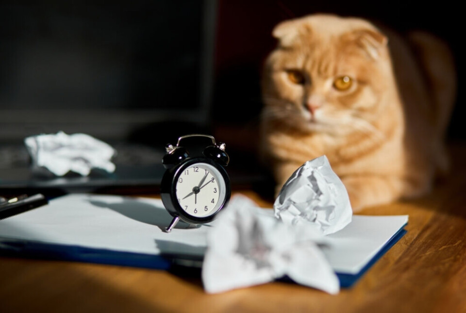 I helga stiller vi klokka – men var det frem eller tilbake?