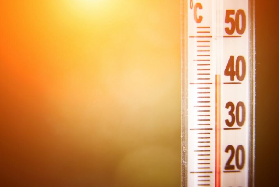 ADVARER: Det statlige meteorologiske institutt advarer mot ekstremvarme de neste dagene. Foto: Envato Elements
