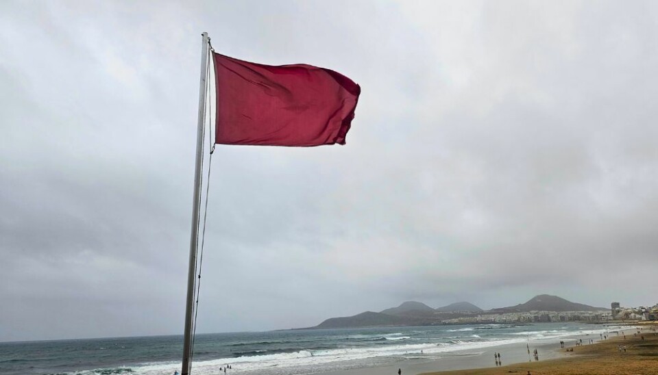 Rødt flagg ved Las Canteras-stranda. Det indikerer totalt badeforbud.
