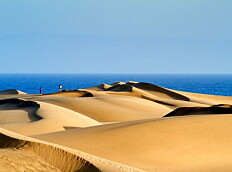 Gir blaffen i forbud