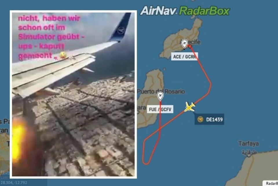 Måtte nødlande – fugl i motoren