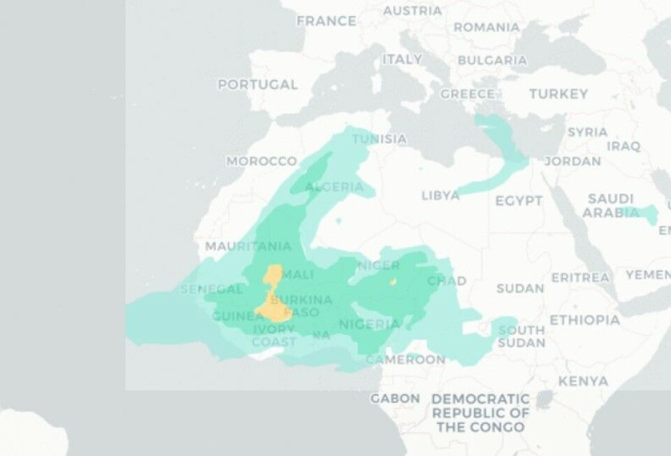 Barcelona Dust Regional Center utelukker sandstøv i luften over Kanariøyene de neste dagene. Grafikk: WMO Barcelona/Aemet