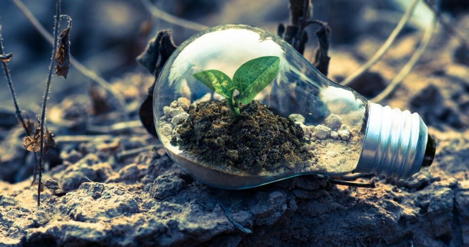 Foto: Envato Elements