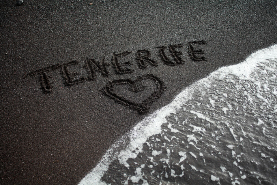 Foto: Anyamuse/Shutterstock Foto: Anyamuse/Shutterstock