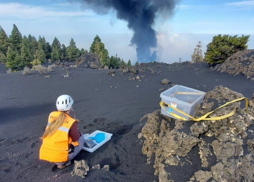 40 jordskjelv på La Palma fredag morgen