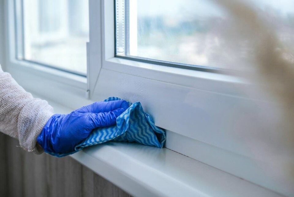 De enkleste metodene for å bli kvitt calimastøv. Foto: Envato Elements