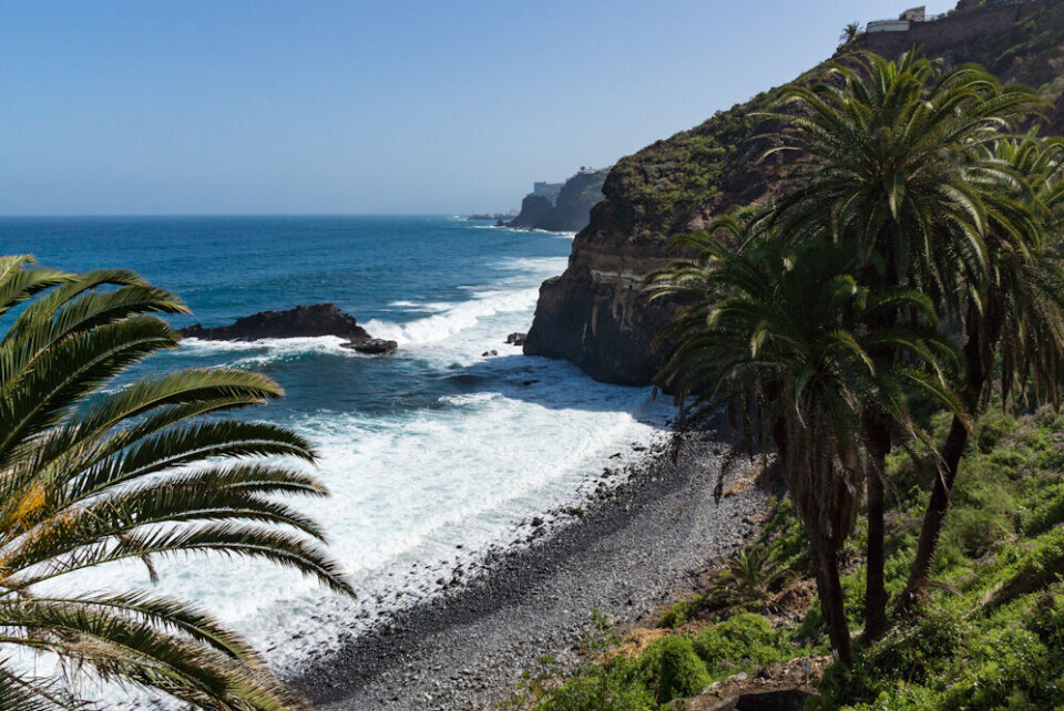 Foto: Gotenerife.net Foto: Gotenerife.net