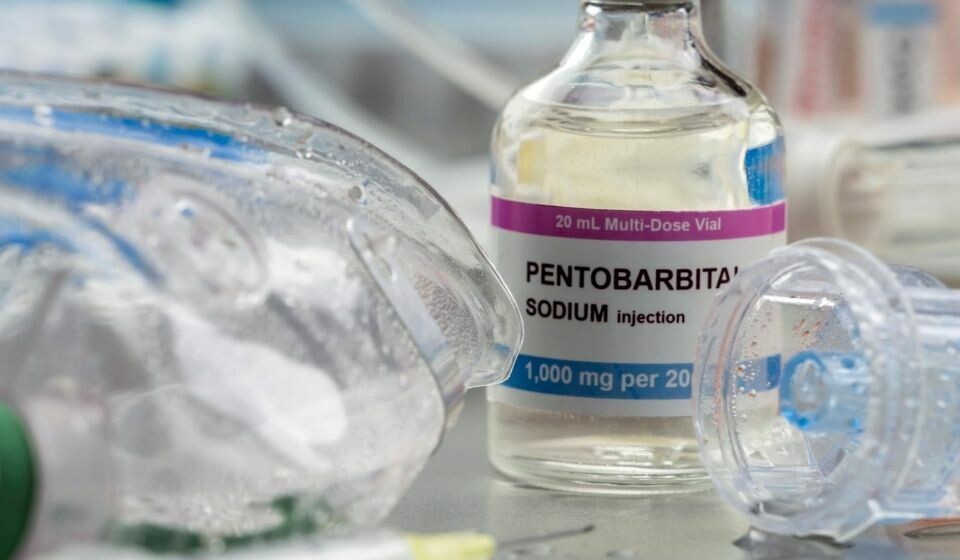 Legemiddelet Pentobarbital blir brukt i aktiv dødshjelp i enkelte land. I flere stater i USA har middelet også blitt brukt ved henrettelser. Illustrasjon: Envato Elements