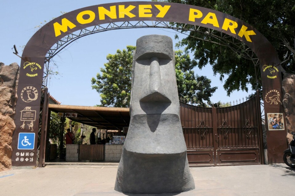 Foto: Monkey park Foto: Monkey park