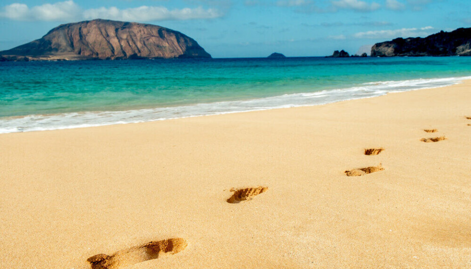 Playa de la Conchas på La Graciosa er en av Kanariøyenes beste strender. Foto: nito/Shutterstock