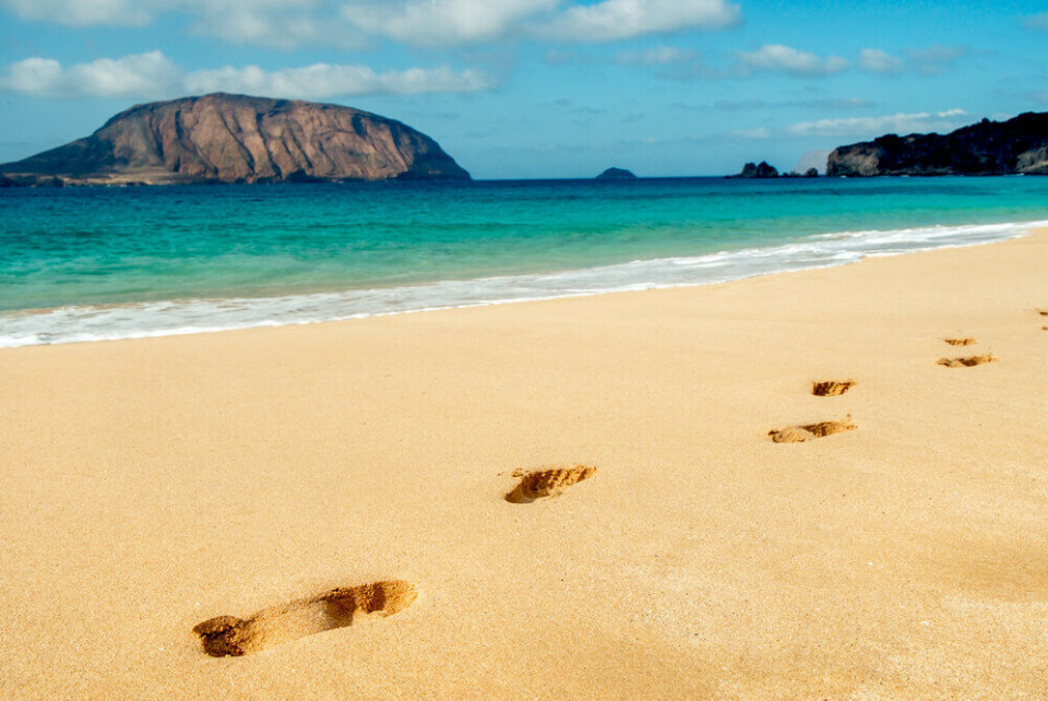 Playa de la Conchas på La Graciosa er en av Kanariøyenes beste strender. Foto: nito/Shutterstock