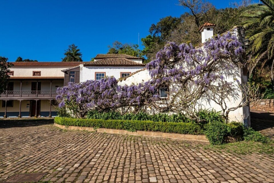 Finca de Osorio i Teror. Foto: RudiErnst/Shutterstock Finca de Osorio i Teror. Foto: RudiErnst/Shutterstock