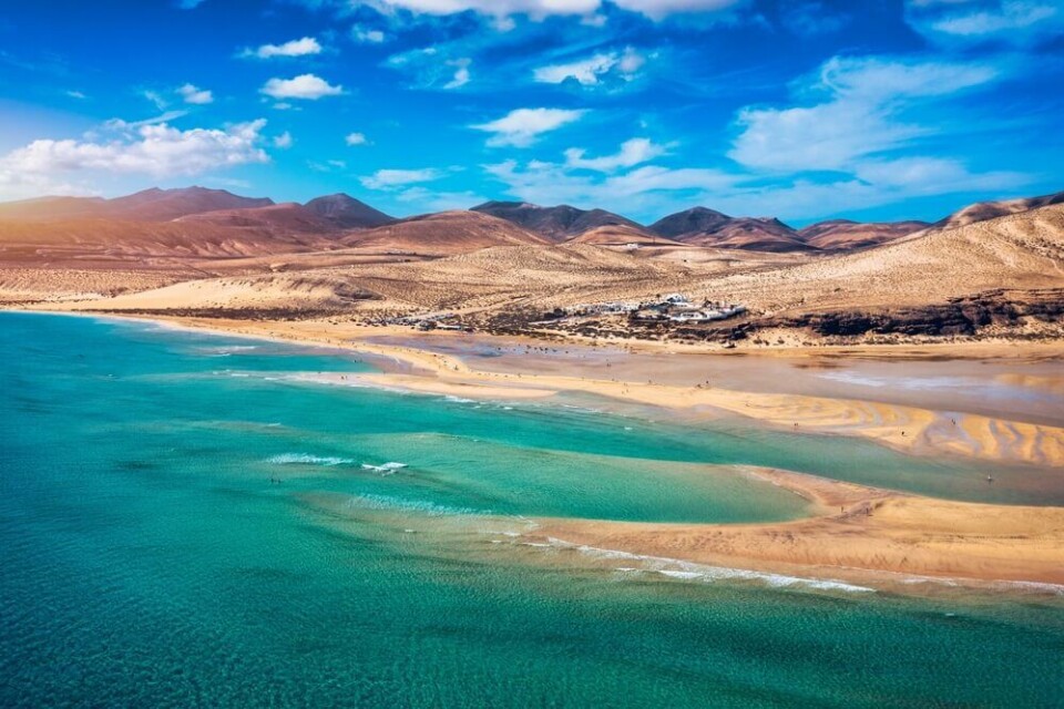 Foto: DaLiu/Shutterstock Foto: DaLiu/Shutterstock