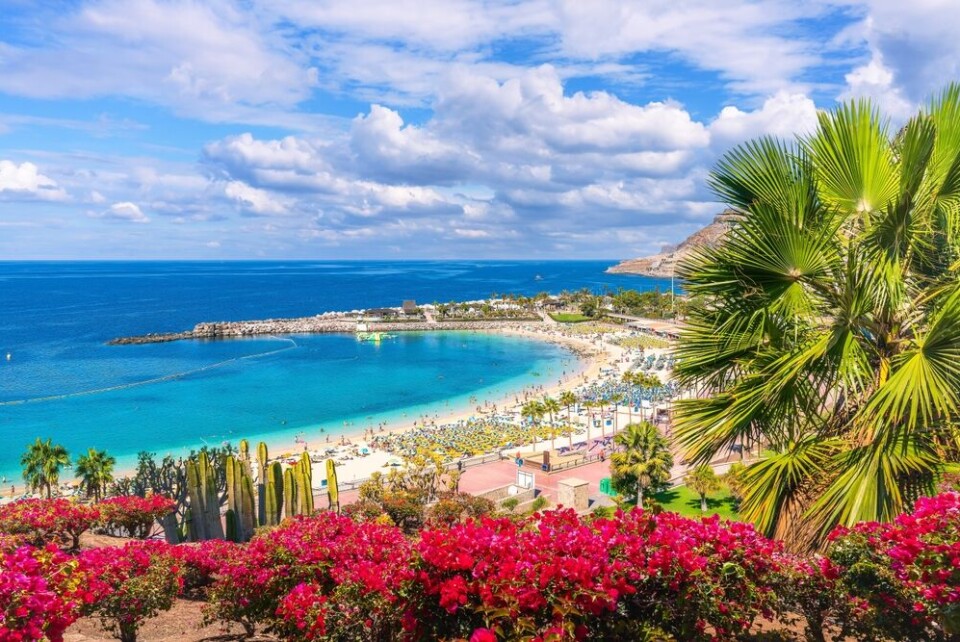 Amadores-stranda sørvest på Gran Canaria. Foto: Shutterstock