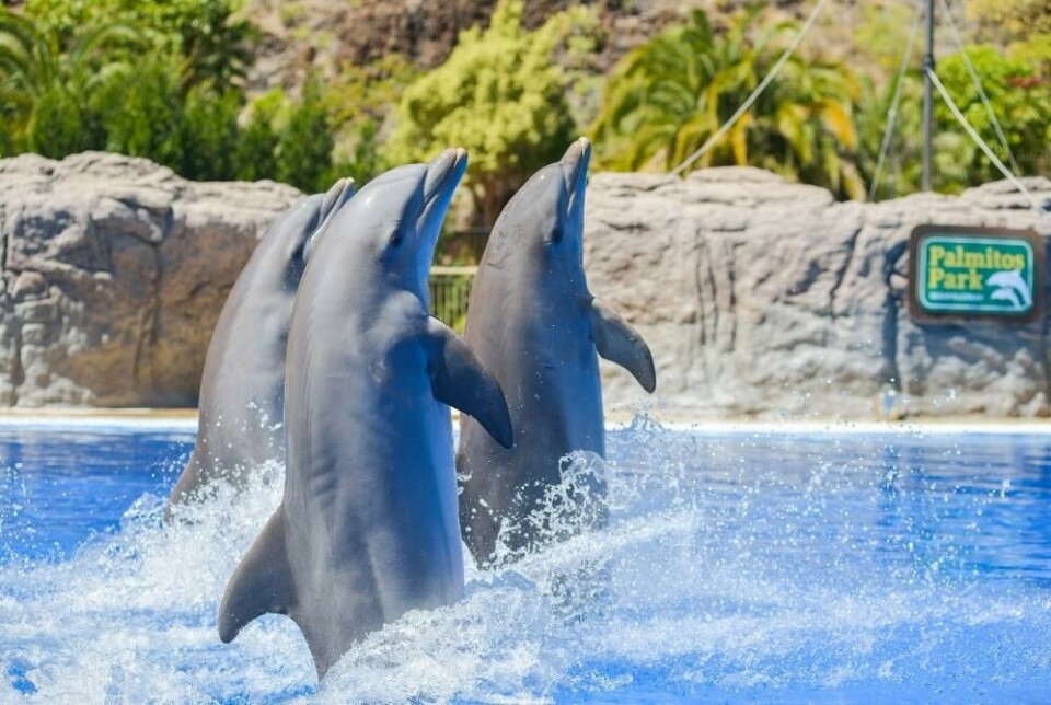 Palmitos Park på Gran Canaria
