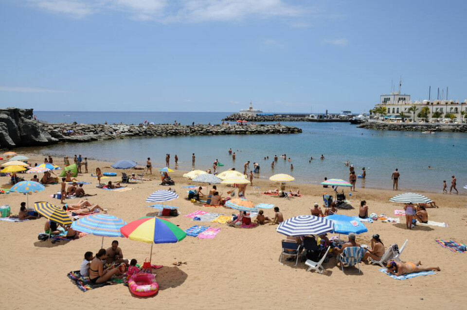 Sommerhete og temperaturer på over 28 grader skaper grobunn for mange kakerlakker, advarer spansk forening. Foto: Philip Lange/Shutterstock Sommerhete og temperaturer på over 28 grader skaper grobunn for mange kakerlakker, advarer spansk forening. Foto: Philip Lange/Shutterstock