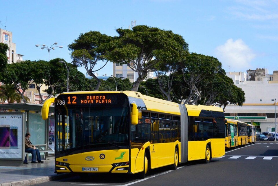 Bybussene er gule. Foto: Guaguas Municipales Bybussene er gule. Foto: Guaguas Municipales