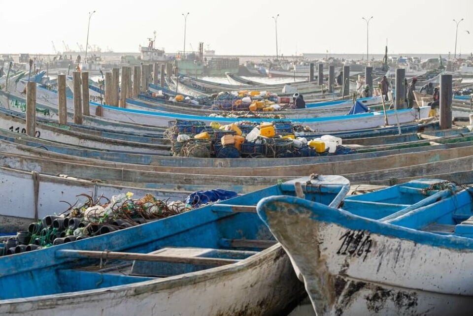 Båtene ligger på rekke og rad i Nouadhibou i Mauritania. I skjul av nattens mørke, sniker migrantene seg nærmere. De er på vei. Mot et bedre liv i Europa, eller en kald grav på havets bunn. Foto: Shutterstock