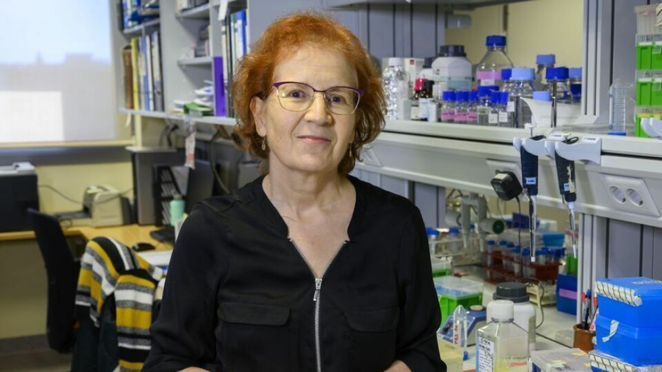 Margarita Del Val er en anerkjent virolog, immunolog og forsker ved Centro de Biología Molecular Severo Ochoa.