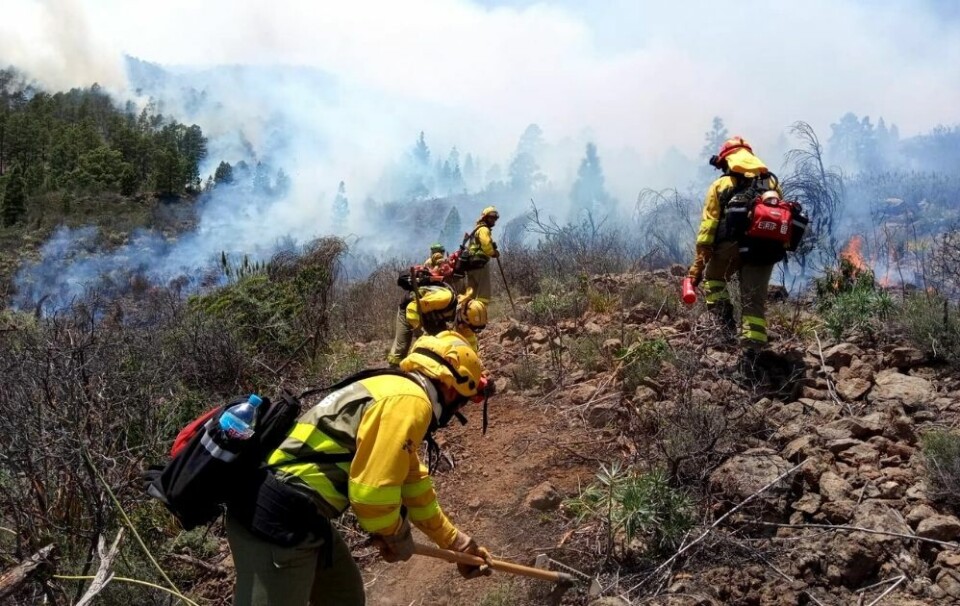 SPILLELISTE: Skogbrann på Tenerife