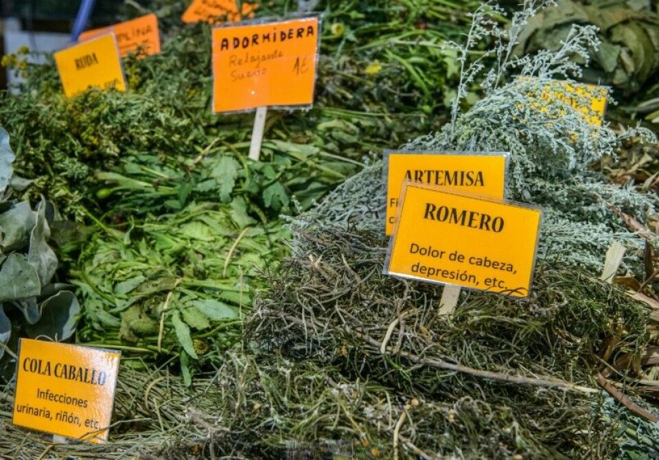 Urter på et marked. Foto: Canary Islands Tourism Urter på et marked. Foto: Canary Islands Tourism