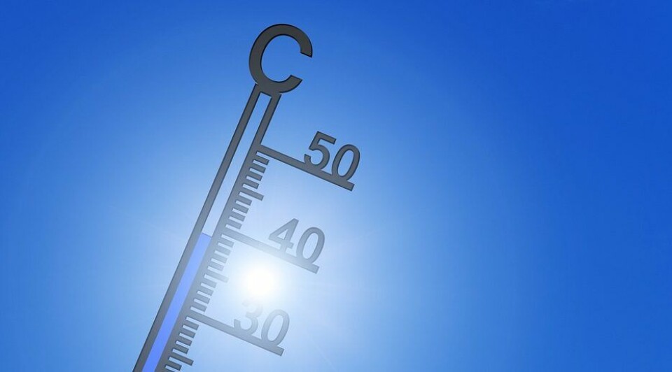 Det blir brennhett de neste dagene – opp mot 43 grader