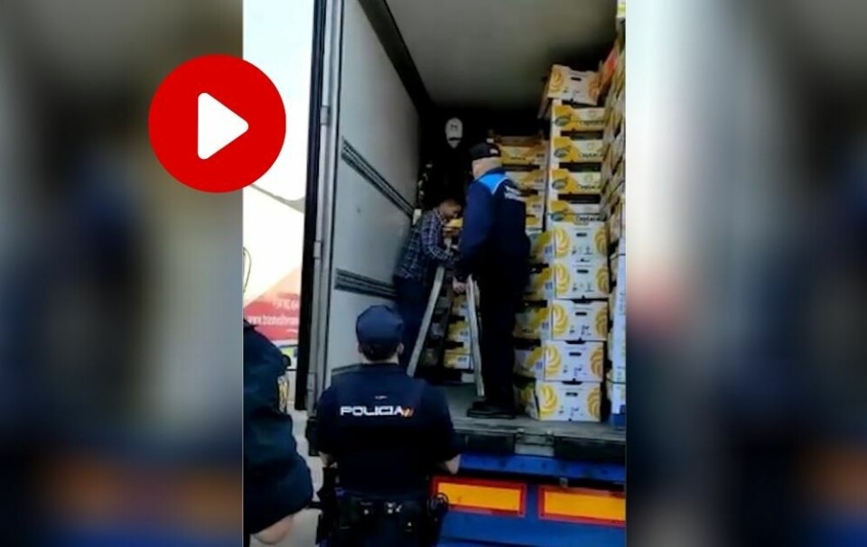 VIDEO: Her blir migrantene tatt ut av fruktbilen de forsøkte å skjule seg i.