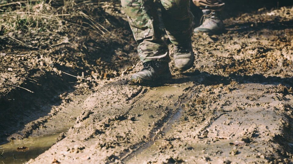 Illustrasjon: Envato Elements