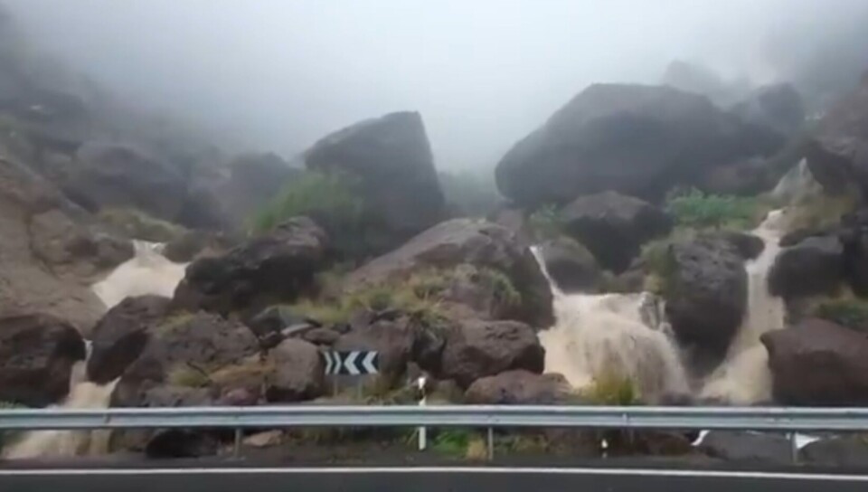 Skjermdump: Video fra øyrådet.