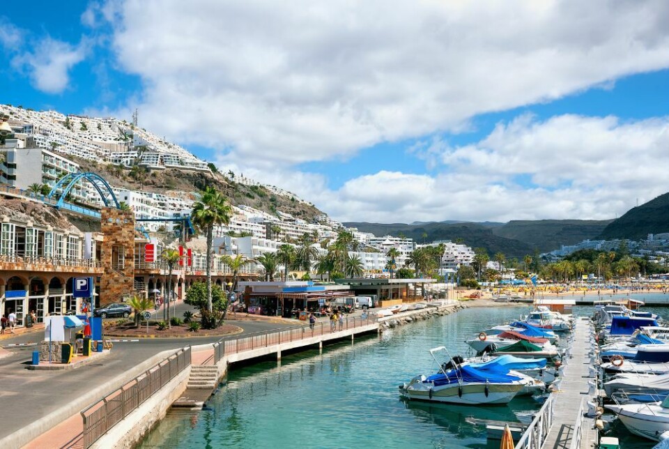 Foto: Valery Bareta/Shutterstock