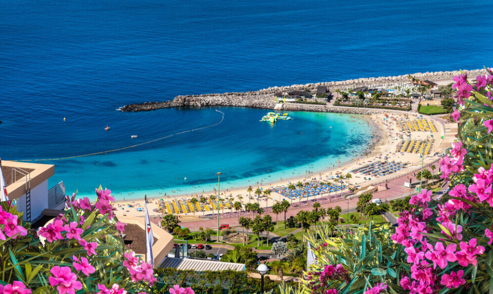 Foto: Serenity-H/Shutterstock