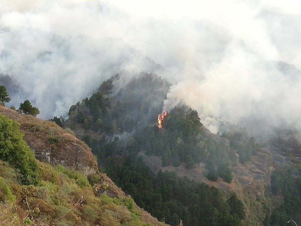 Arkivfoto av en skogbrann i Valleseco på Gran Canaria i 2019. Foto: Diario de avisos
