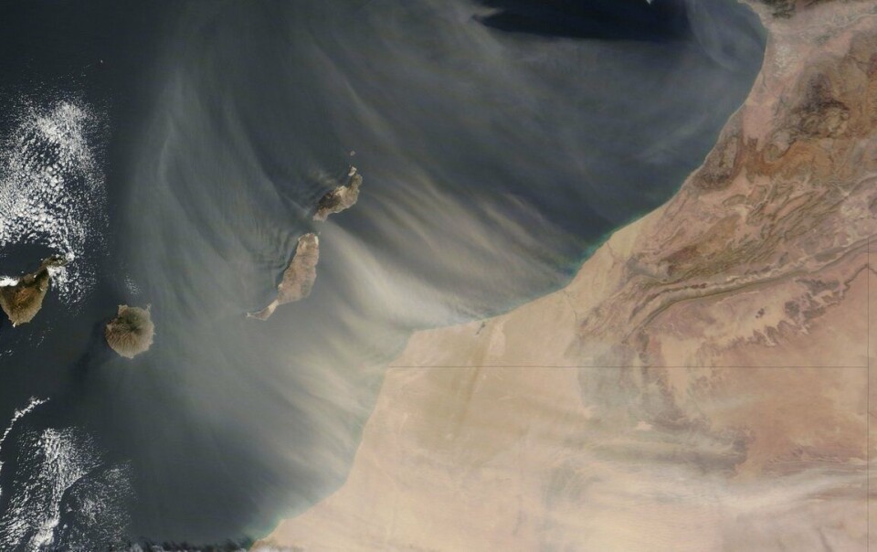 Calimaen trekker seg tilbake