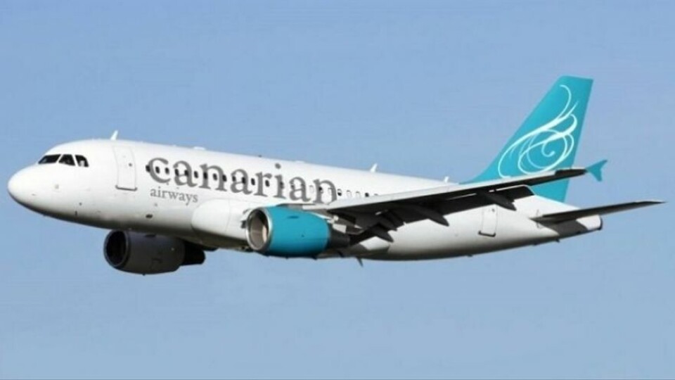 Slik skal flyselskapenes fly se ut. Her et Airbus A319.