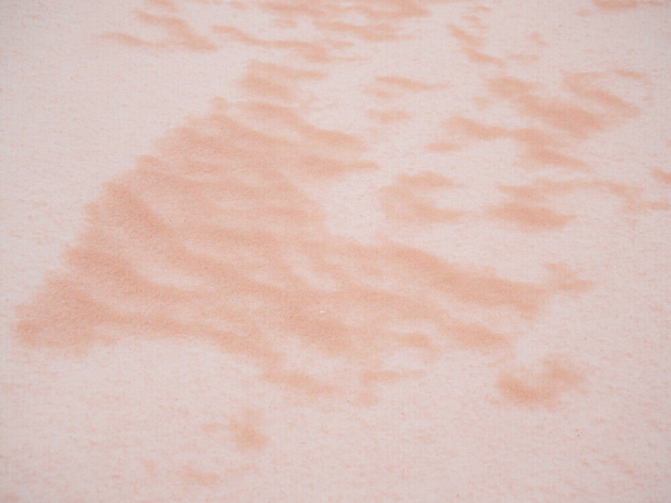 Arkivfoto av Sahara-støv på snø. Foto: Animaflora PicsStock/Shutterstock