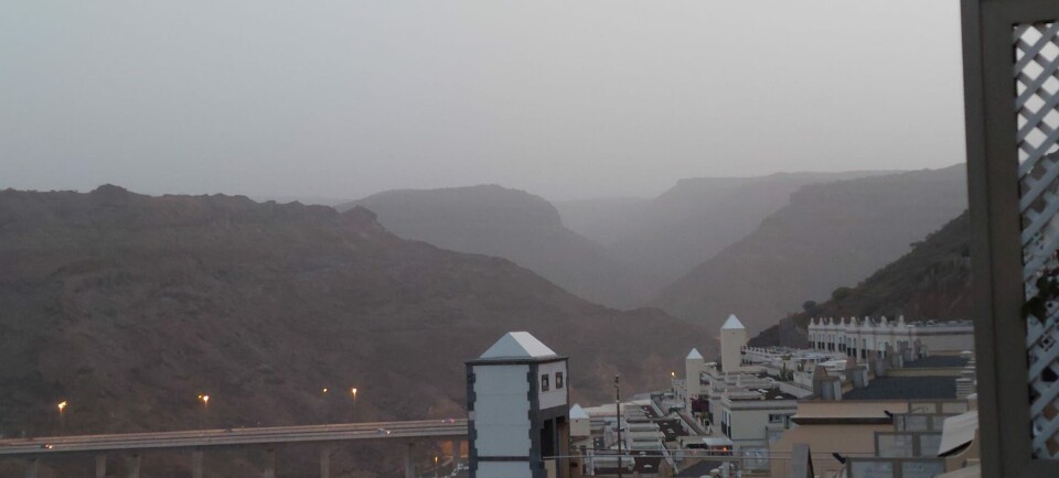 Foto: Ann Cathrin El Allaoui