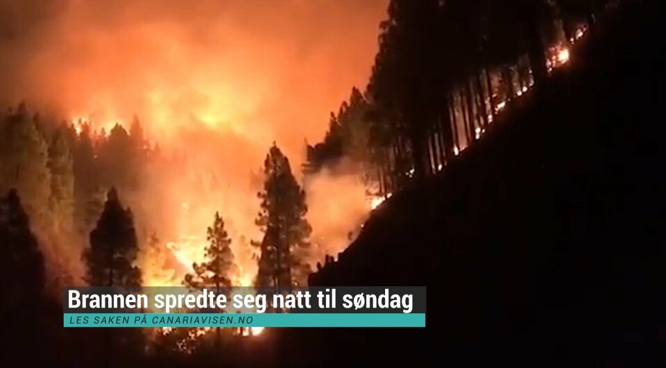 ?NYHETSVARSEL Skogbrannen på Gran Canaria – begrenset, men ikke under kontroll.