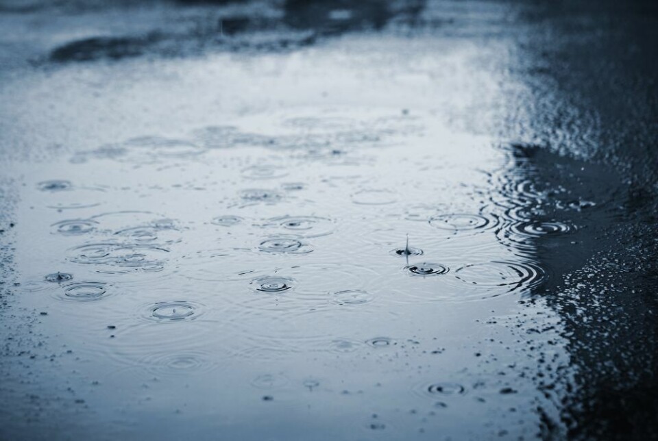 Det kan bli regn i helga. Foto: Envato Elements