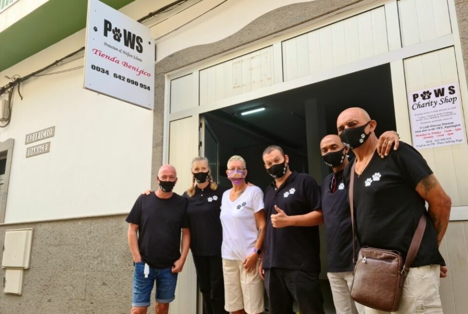 «Paws» hjelper villkatter fra ny bruktbutikk i Arguineguín: – Folk er så generøse